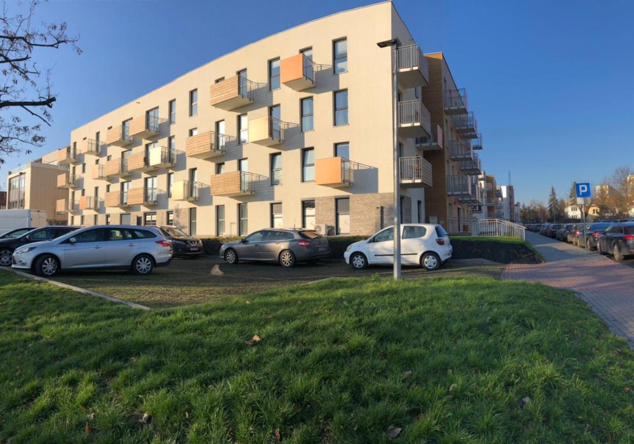 Gingerbread Apartment Stary Toruń エクステリア 写真